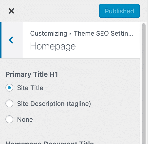 The Primary Title H1 SEO Setting in the Customizer.