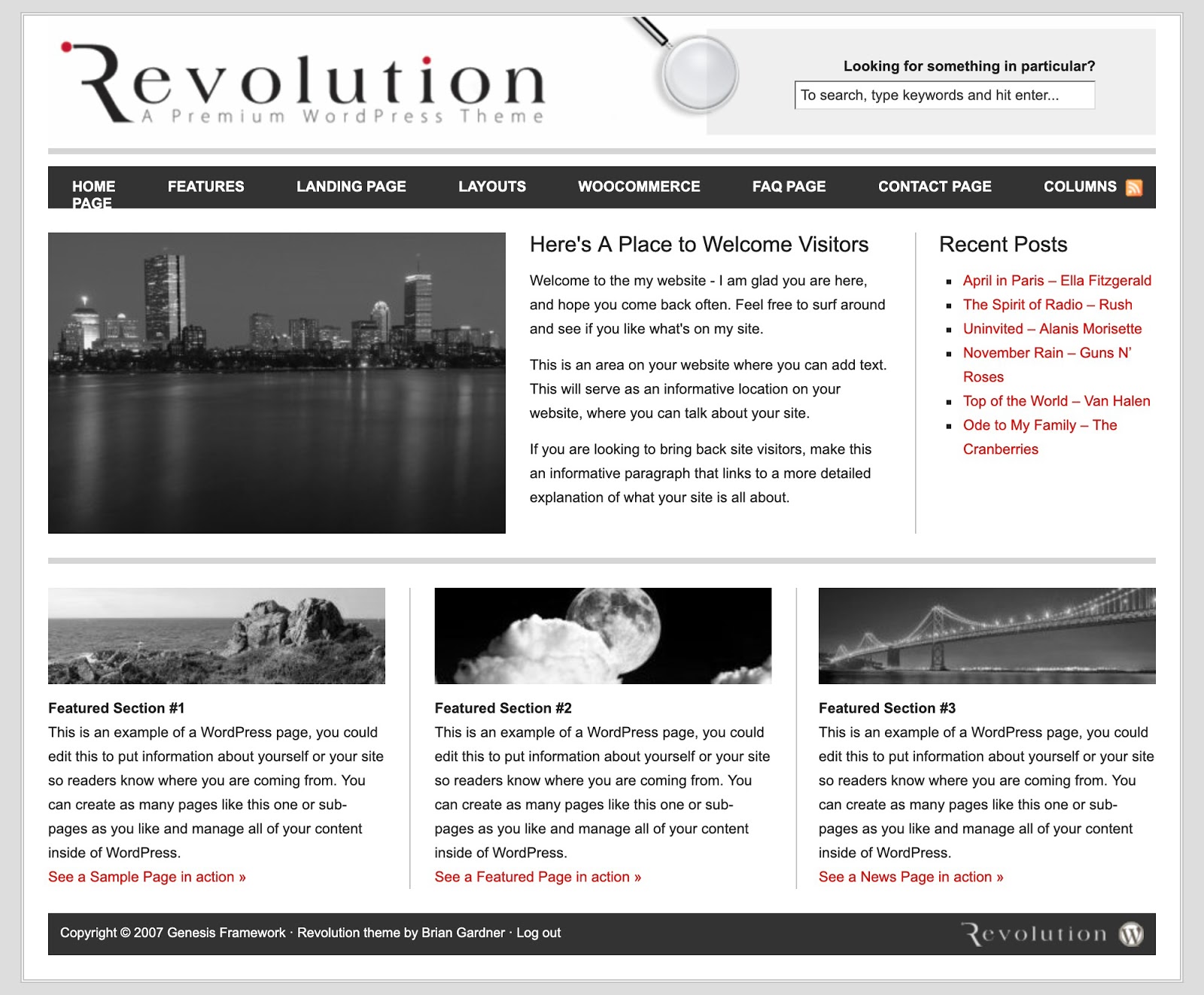 Revolution WordPress Theme